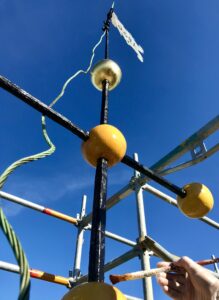 IMG_9550